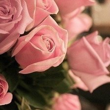 Схема вышивки «розовые розы»