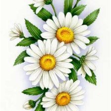 Схема вышивки «Ромашки»