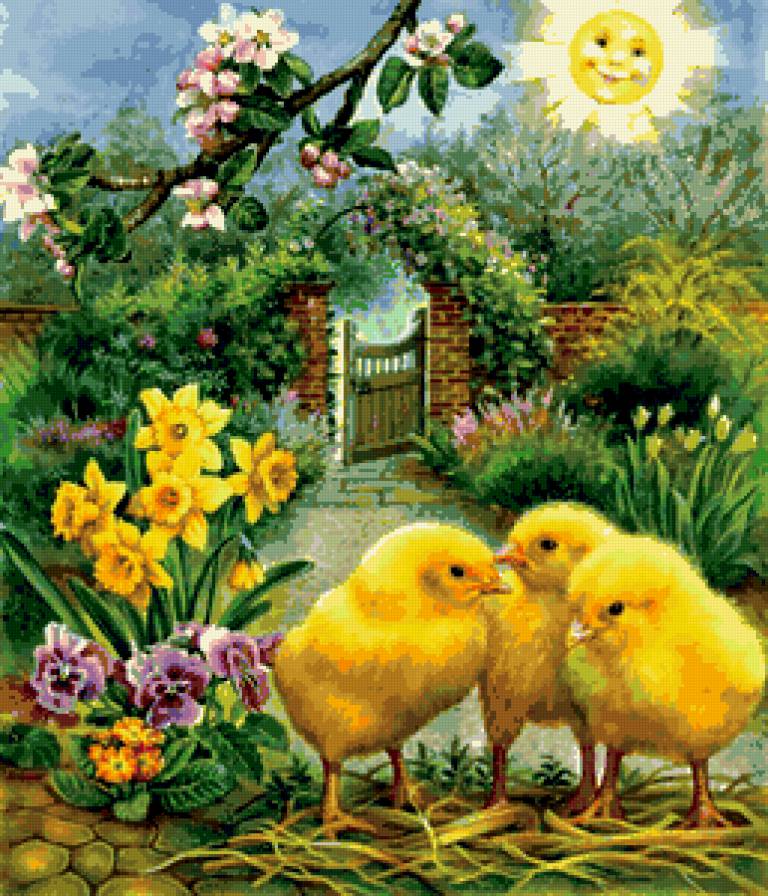 цыплята - предпросмотр