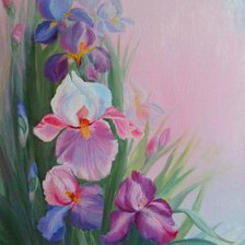 Схема вышивки «ирисы»