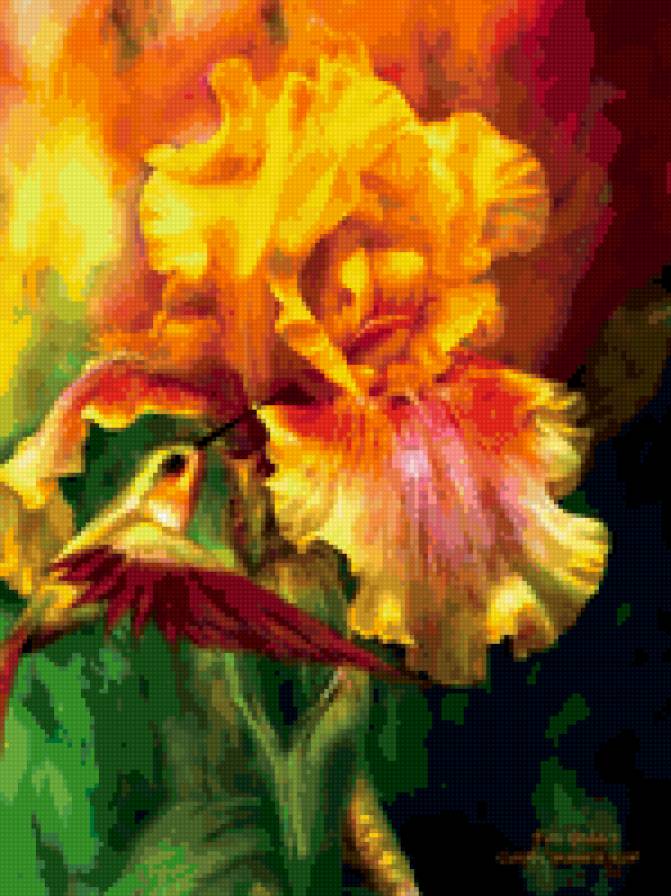 желтый ирис, колибри - фентези - предпросмотр