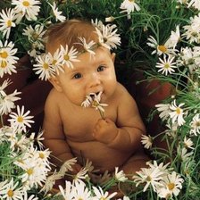 Схема вышивки «в ромашках»