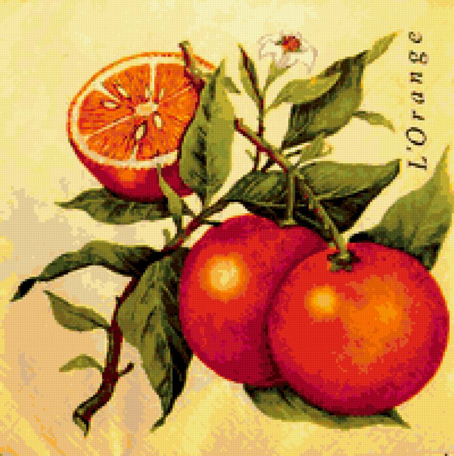 апельсин - апельсин, для кухни,  - предпросмотр