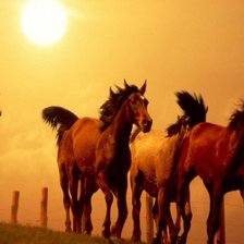 Схема вышивки «№302716»