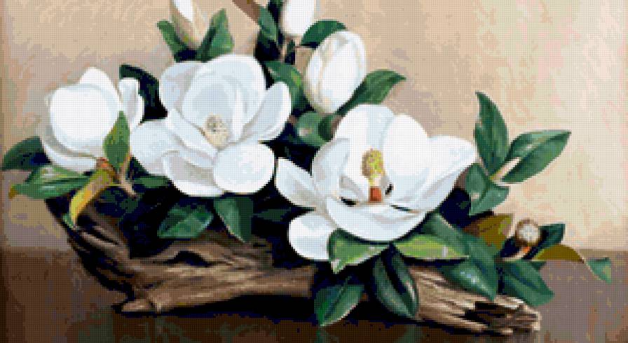 магнолия - предпросмотр