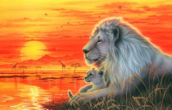 на закате - оригинал