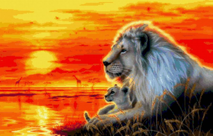 на закате - предпросмотр