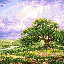 в лучах солнца