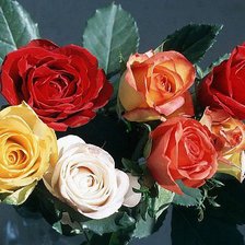 Схема вышивки «Розы»