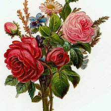 Схема вышивки «алые»