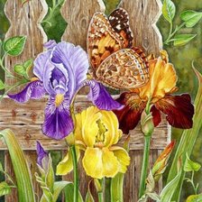 Схема вышивки «Ирис»