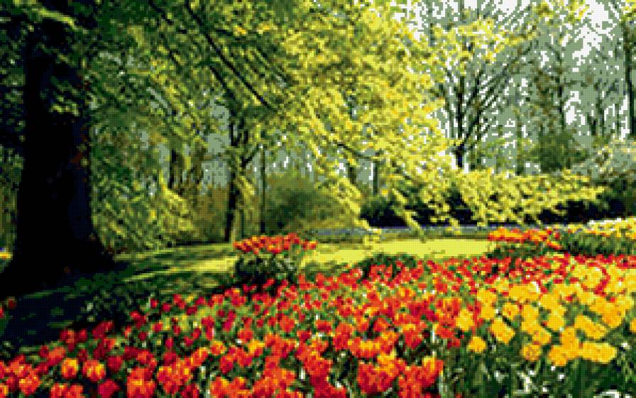 №303122 - цветы, деревья, зелень, природа - предпросмотр