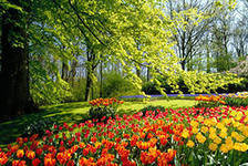 Схема вышивки «№303122»