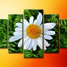 Схема вышивки «№303167»