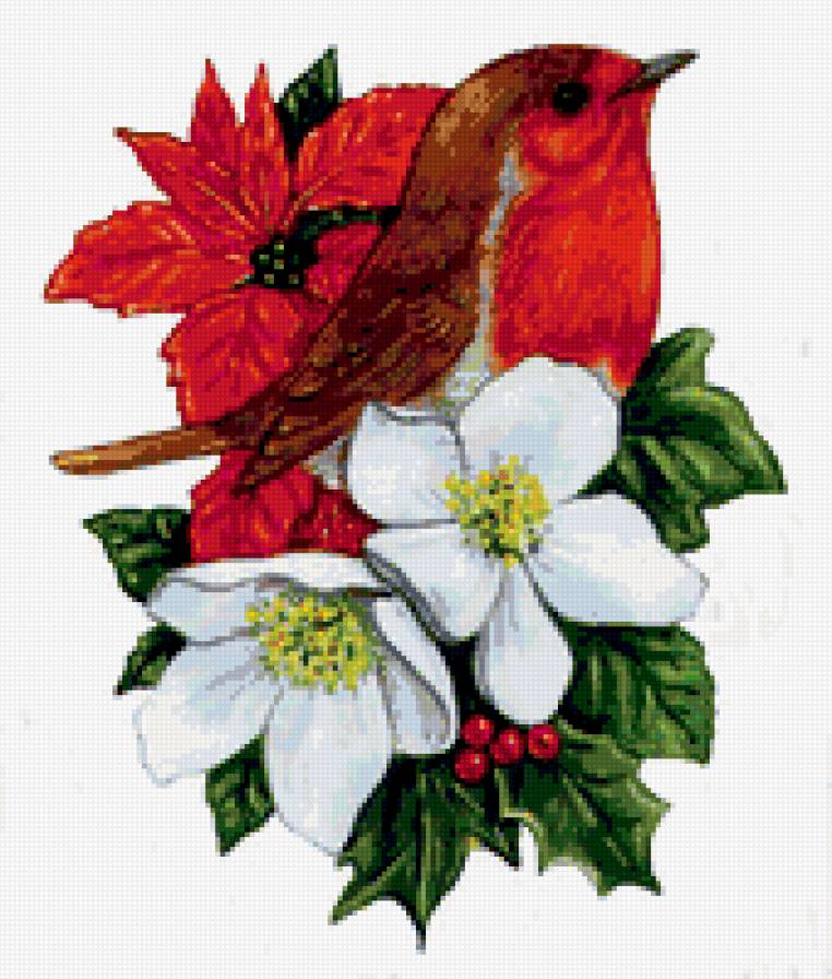 птичка - птица - предпросмотр