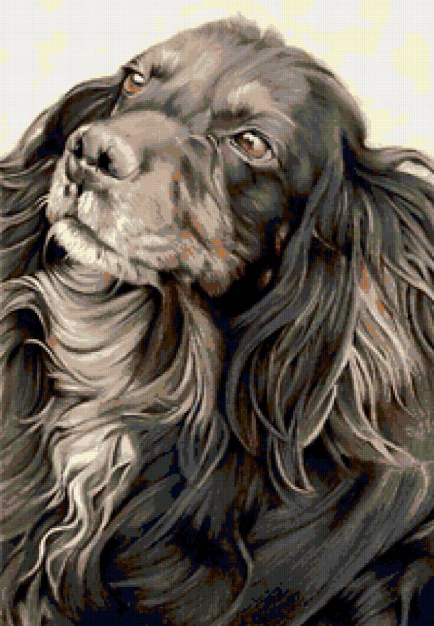 собака2 - собака - предпросмотр