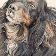 Схема вышивки «собака2»