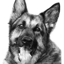 Схема вышивки «собака 3»