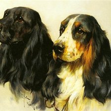 Схема вышивки «собаки 4»