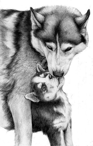 собаки 5 - собаки - оригинал