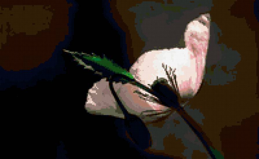 Мак - мак, цветы - предпросмотр