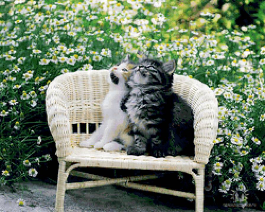 сладкая парочка - предпросмотр