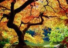 Схема вышивки «№303305»