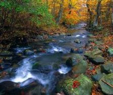 Схема вышивки «№303306»