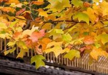 Схема вышивки «№303322»