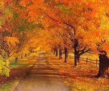 Схема вышивки «№303323»