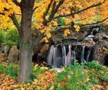 Схема вышивки «№303328»