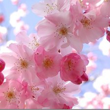 Схема вышивки «№303364»