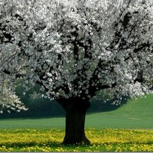 Схема вышивки «№303365»