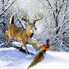 Схема вышивки «№303381»