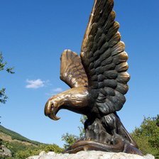 Схема вышивки «орел»