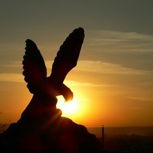 Схема вышивки «орел»