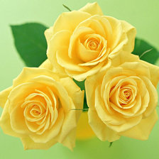 Схема вышивки «серия "розы"»