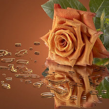 Схема вышивки «серия "розы"»