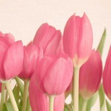 Схема вышивки «тюльпа»