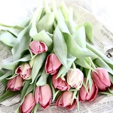 Схема вышивки «тюл»