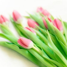 Схема вышивки «тю»