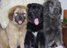 Схема вышивки «№303682»