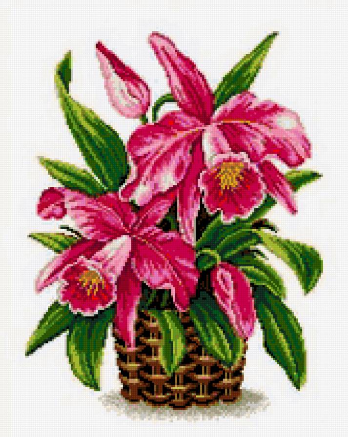 №303703 - предпросмотр