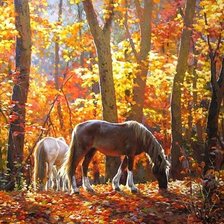 Схема вышивки «№303771»