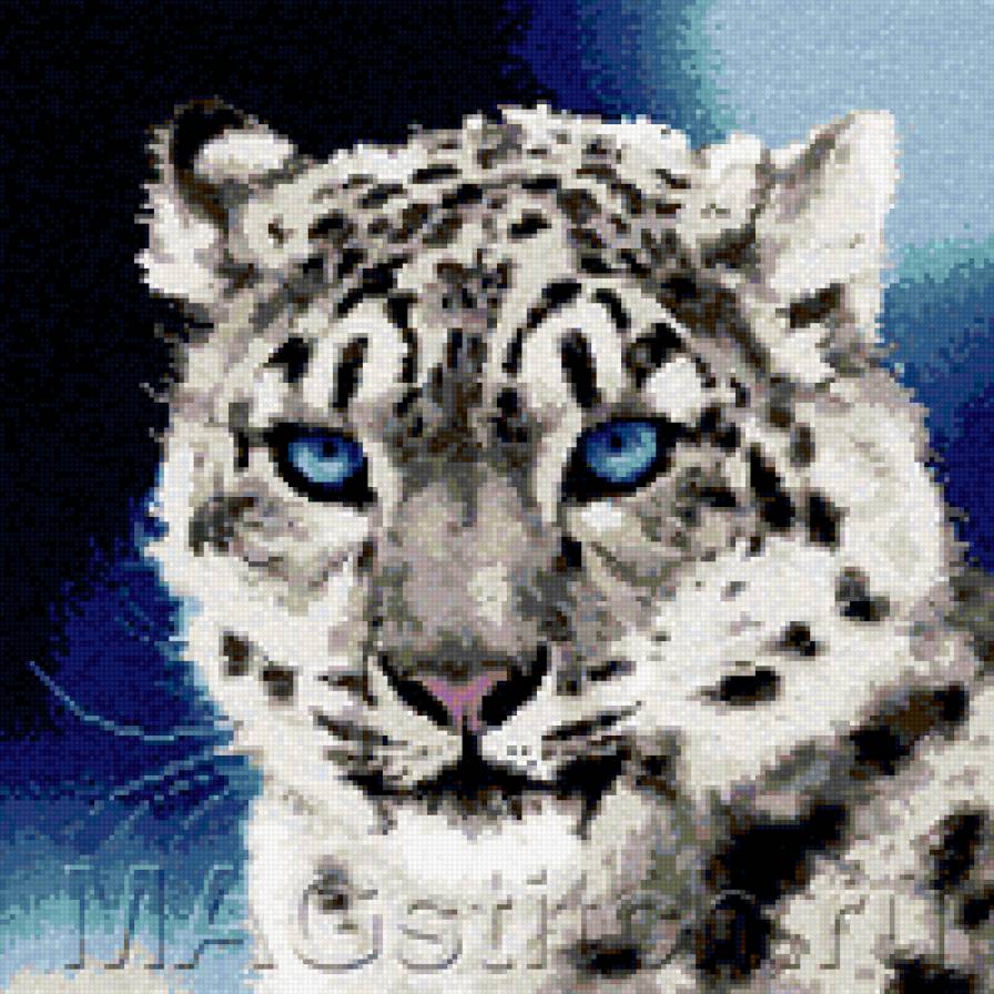 барс - предпросмотр