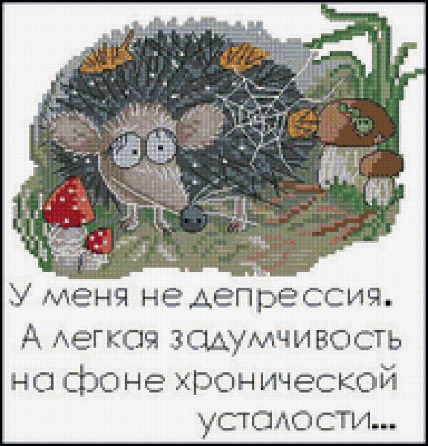 №303864 - предпросмотр