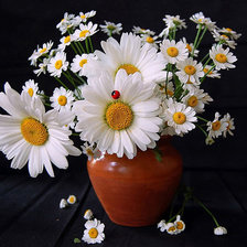 Схема вышивки «№303921»