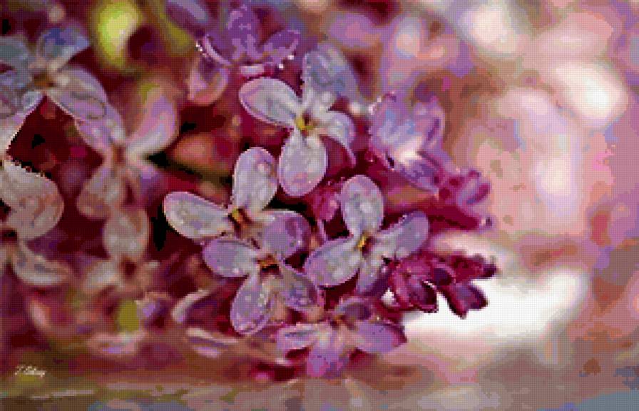 №303931 - предпросмотр