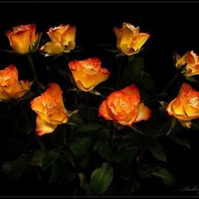 Схема вышивки «№303932»