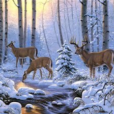 зимняя сказка